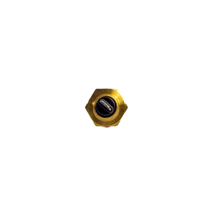 SENSOR DE TEMPERATURA/ FORD/ NEW HOLLAND (B2405)