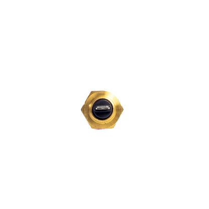 SENSOR DE TEMPERATURA/ FORD/ NEW HOLLAND (B2405)
